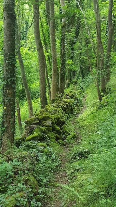 Chambre A La Campagne Saint Andre De Chalencon Kültér fotó