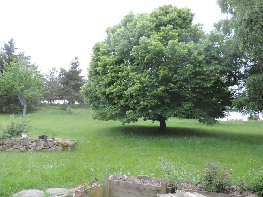 Chambre A La Campagne Saint Andre De Chalencon Kültér fotó