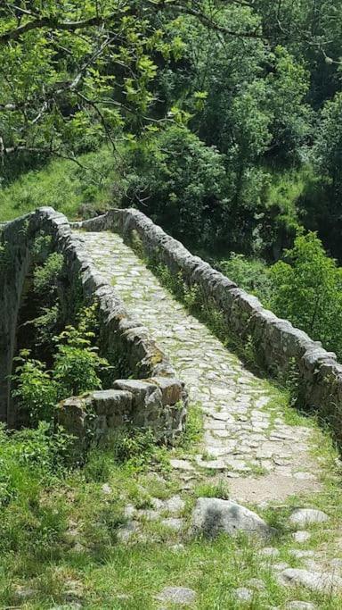 Chambre A La Campagne Saint Andre De Chalencon Kültér fotó