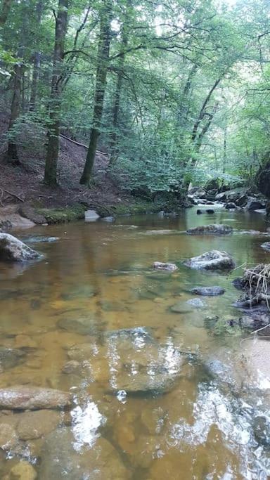 Chambre A La Campagne Saint Andre De Chalencon Kültér fotó